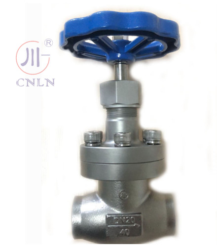 CNLN/Arman DJ61F-40P SS304/316 LNG/LOX/LN2システム用の冷凍球弁短幹型A ((DN10-100mm) CE/ISO/EAC認定