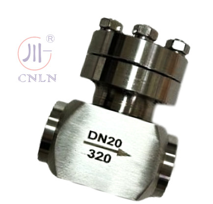 SS304/316 LNG/LOX/LN2/LAR/LCO2用の高圧冷凍チェックバルブ DN20