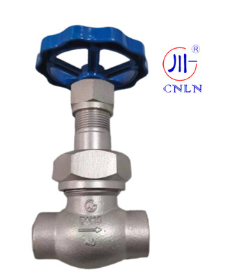 CNLN/Arman DJ61F-40P SS304/316 LNG/LOX/LN2システム用の冷凍球弁短幹型C ((DN10-50mm) CE/ISO/EAC認定