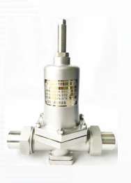 CNLN/Arman DY22F SS304/316 LNG/LOX/LN2システム用の冷凍圧縮バルブ (DN20-50mm) CE/ISO/EAC認定