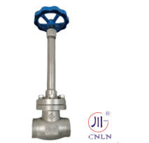 SS304/316 LNG/LOX/LN2用の低温球弁短幹型B ((DN10-100mm)