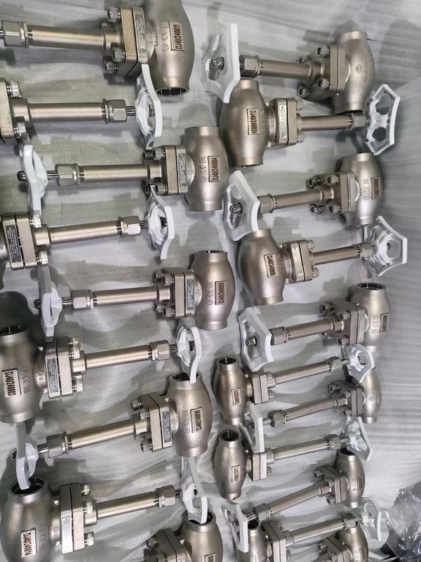 DN25 冷凍グローブバルブ ステンレス鋼304/316 PTFEシールおよびCF8/CF3バルブボディ付き -196℃～+80℃用途