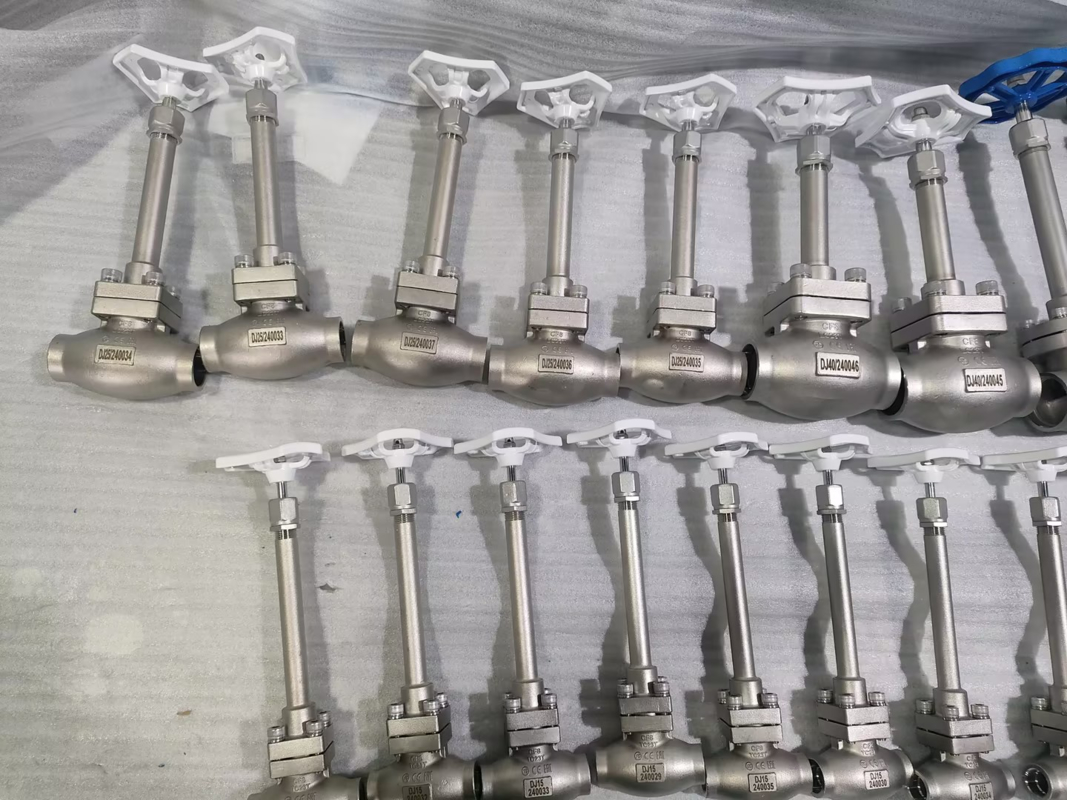 DN25 冷凍グローブバルブ ステンレス鋼304/316 PTFEシールおよびCF8/CF3バルブボディ付き -196℃～+80℃用途