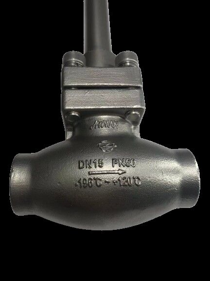 ステンレス鋼304/316極低温グローブバルブ、最大圧力5.0MPa、-196℃～+80℃の温度範囲